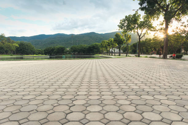 Best Cobblestone Driveway Pavers  in Ferris, TX